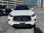2023 INFINITI QX50 LUXE FWD