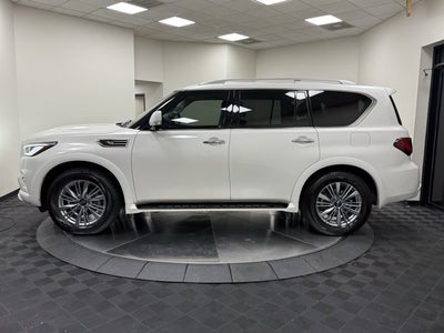 2023 INFINITI QX80 LUXE RWD