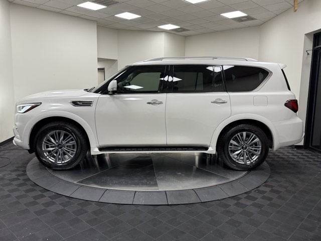 2023 INFINITI QX80 LUXE RWD