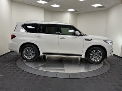 2023 INFINITI QX80 LUXE RWD