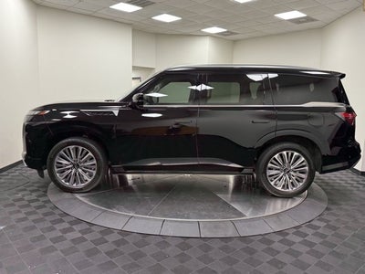 2025 INFINITI QX80 Luxe 2WD