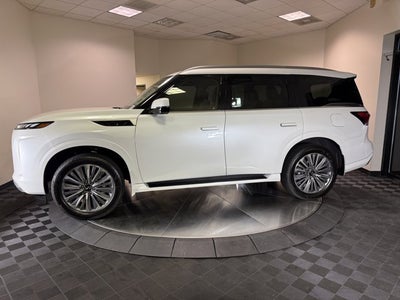 2026 INFINITI QX80 Luxe 2WD