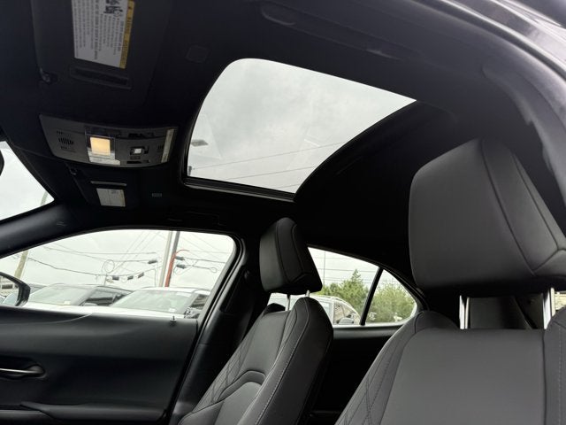 2024 Lexus UX UX 250h