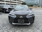 2024 Lexus UX UX 250h
