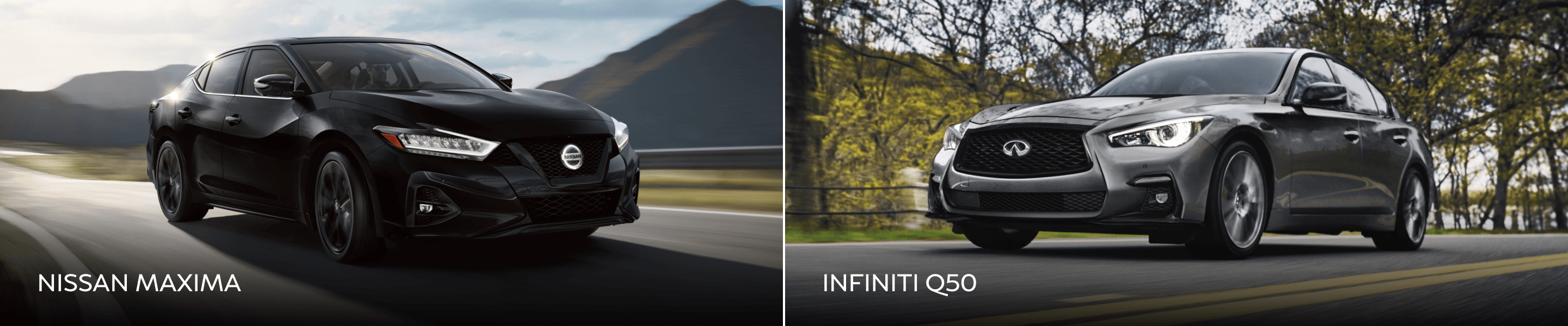 Infiniti Q50 vs Nissan Maxima