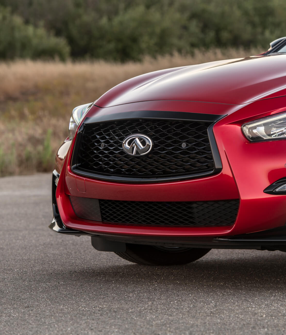Explore 2024 INFINITI Q50 Configurations
