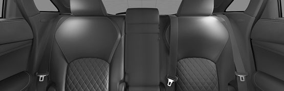 INFINITI QX50 Graphite Leatherette with Painted Aluminum Interior Trim Accents
