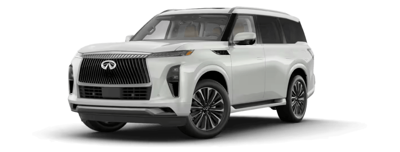 INFINITI QX80 Radiant White